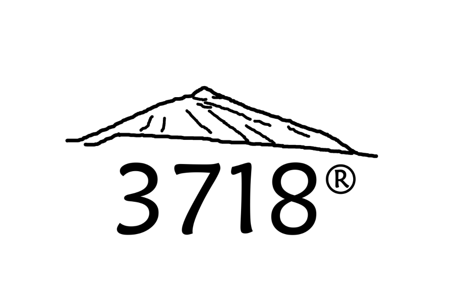 Logo 3718